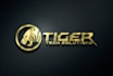 design fascinating logo with free revisions