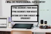 do professional business data entry