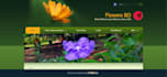 create and design a responsive website on zoho site