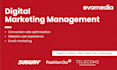 be your b2b digital marketing manager