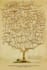 do reiki for dna and ancestral trauma
