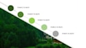 design professional powerpoint templates