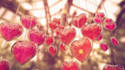 create a romantic birthday video for your lover
