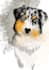 make realistic pet potrait and line art