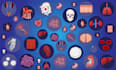 design scientific figures, diagrams, and illustrations