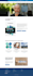 build a professional responsive website, full stack developer, front end