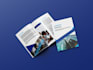 professionally write content and design a catchy company profile, brochure