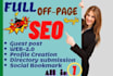 provide white hat SEO backlinks,manual link building service
