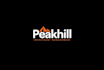 do unique business corporate logo design