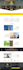 design a professional and SEO optimized wordpress website