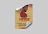 do creative flyer design and broucher