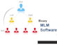 do binary mlm software