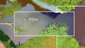 do professional video editing with color grading and motion graphics