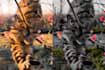 edit enhance and retouch your photos
