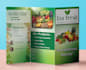 design a professional and eye cathing advertising brochure