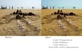 enhance retouch adjust your picture image for social media