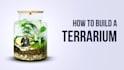 do catchy youtube thumbnail design within 3 hours