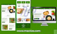 develop professional wordpress website design, redesign, and fix issues