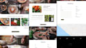 convert any graphic design to concrete cms website