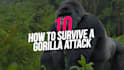 make top 10 videos for youtube channels