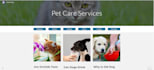 do advance google entity stacking permanent contextual links