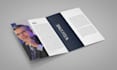 do magazine, catalog, and any project in adobe indesign