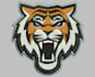 do  embroidery digitizing service quick and accurate