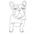 make realistic pet potrait and line art