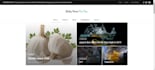 develop your python django website