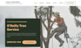 create or duplicate your business website with wordpress, installation included