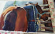 paint a real oil painting on canvas with shipment