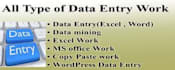 enter data into ms excel and ms office