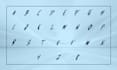 create custom font design and typography design or typeface