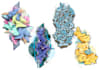 create hand drawn and complex digital graffiti