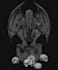 create a illustration in gothic style