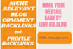 do 100 blog comments and SEO profile backlinks
