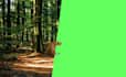 add professional visual effect compositing into your video