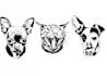 draw amazing line art for your pet