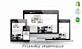 build high converting shopify dropshipping store or shopify website