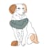 draw 12 hours pet portrait aesthetic one line art continues