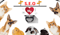 write unique SEO articles, blogs on dogs, cats, and all pets