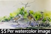 do watercolor or hand drawing illustration for you