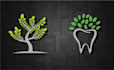 do high quality tree logo design in 24 hrs guaranteed