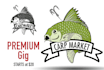 recreate or edit your logo or graphics