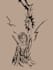 draw stencil style high quality