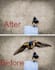 do graphic design and video editing