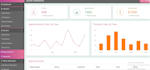 develop custom business website and web application