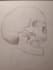 draw cartoons and comics characters