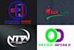 create a professional creative logo design
