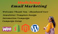 be your mailchimp email marketing expert for your business